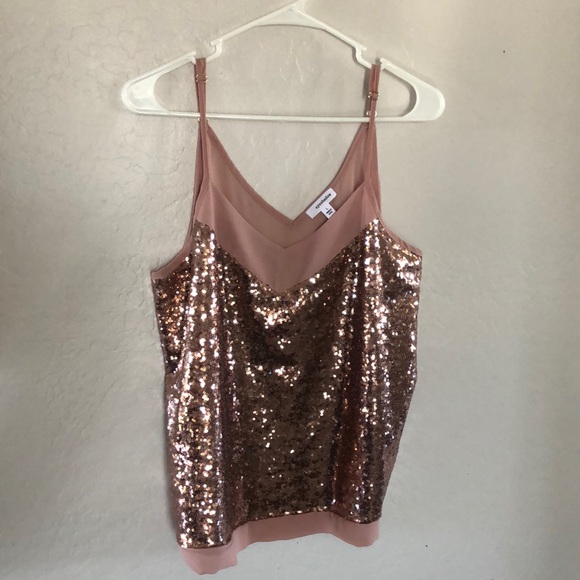 Blush Colored Sequence Glitter Chiffon Top - Picture 2 of 8